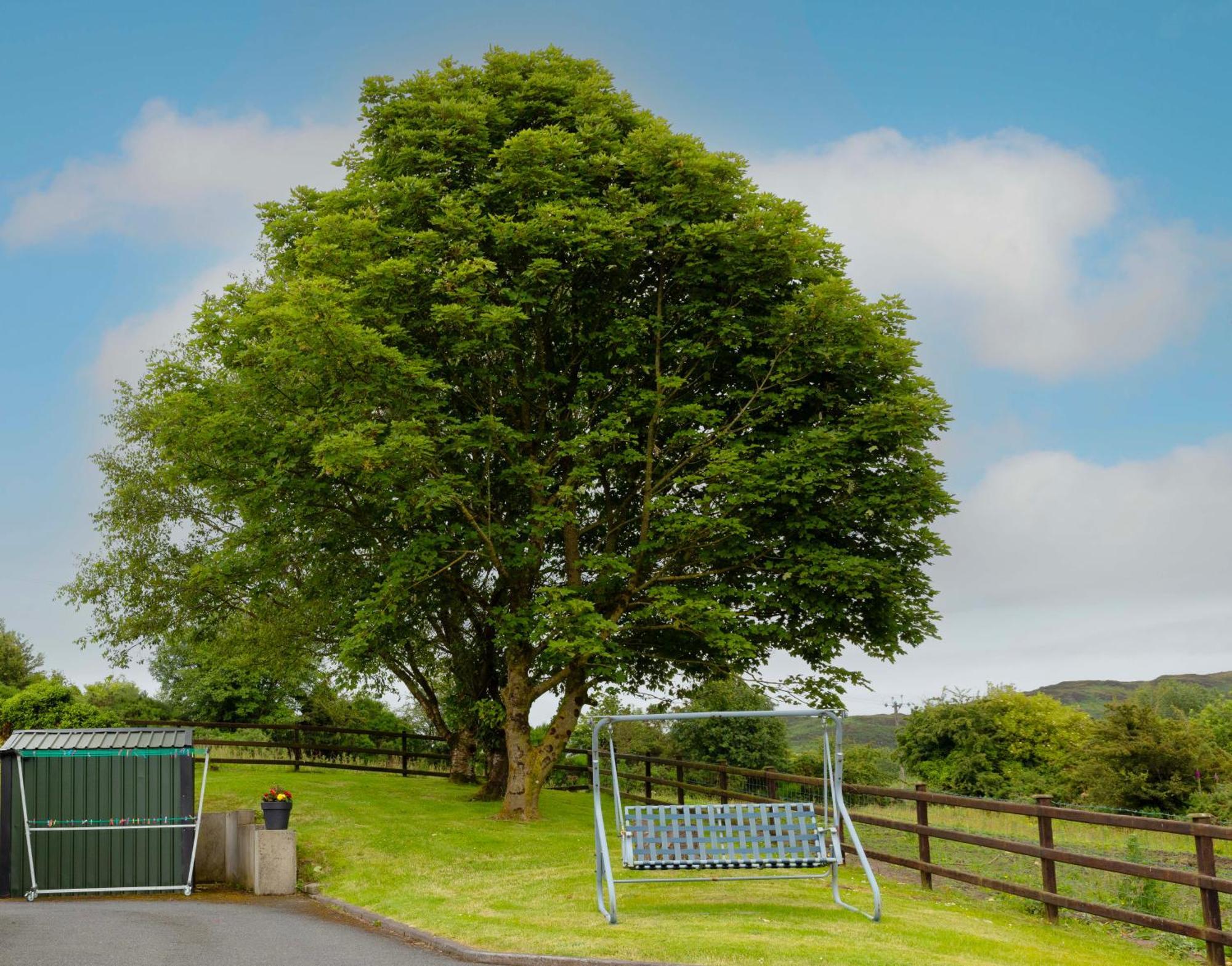 Cloghoge Mountain Nest At The Foot Of Slieve Gullion 아파트 외부 사진