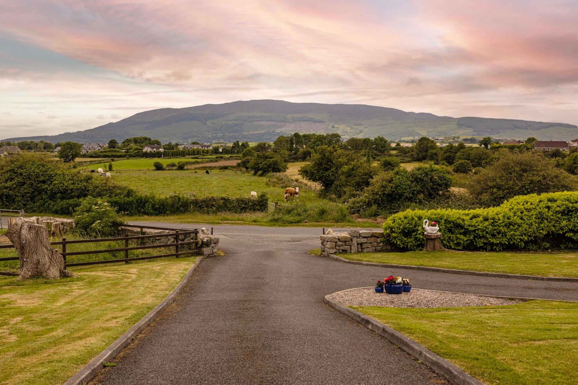 Cloghoge Mountain Nest At The Foot Of Slieve Gullion 아파트 외부 사진